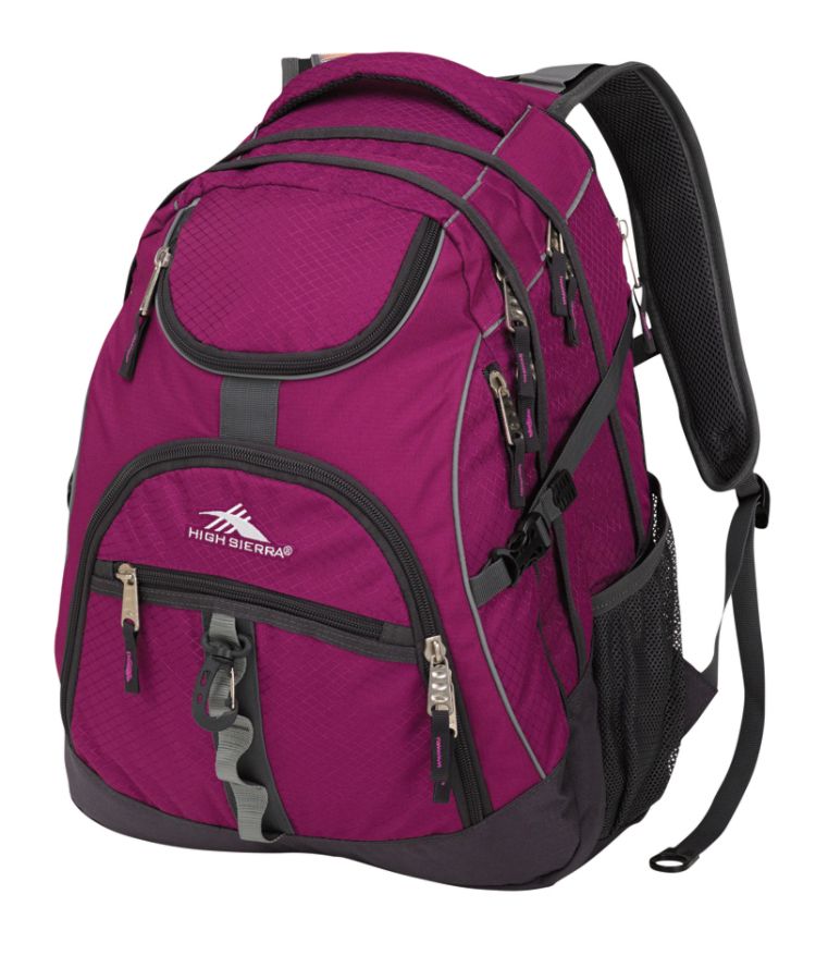 HIGH SIERRA Access Backpack With 17 Laptop Pocket Berry Blast Mercury ...