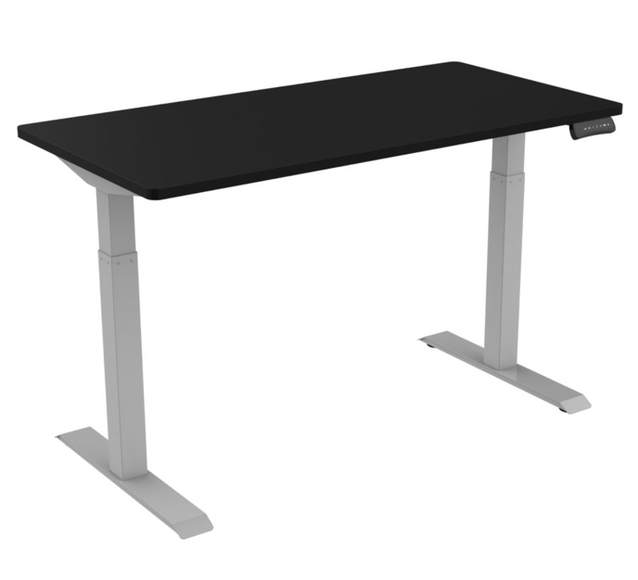 Loctek 55 W Height Adjustable Desk