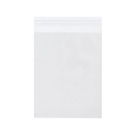 JAM Paper Self Adhesive Cello Sleeve Envelopes 6 716 x 8 14 Clear Pack ...