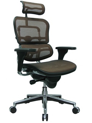 Raynor Ergohuman High Back Mesh Chair Orangechrome Office Depot