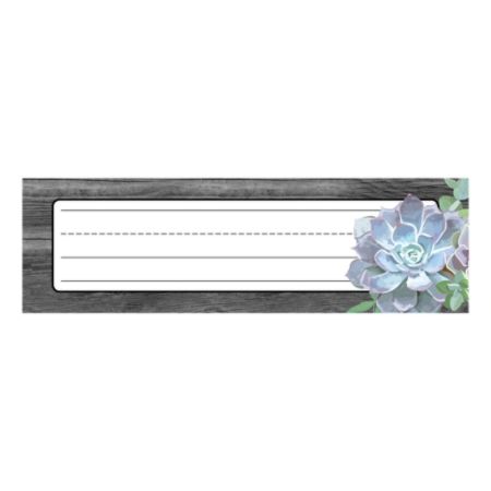 Schoolgirl Style Succulents Nameplates 36pk Office Depot