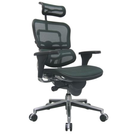 Raynor Ergohuman Mesh High Back Chair Black Office Depot