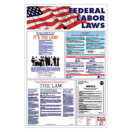 Federal And State Combination Mandatory Labor Law Poster 36 x 24 by ...