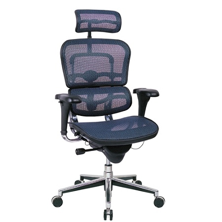 Raynor Ergohuman High Back Mesh Chair Bluechrome Office Depot