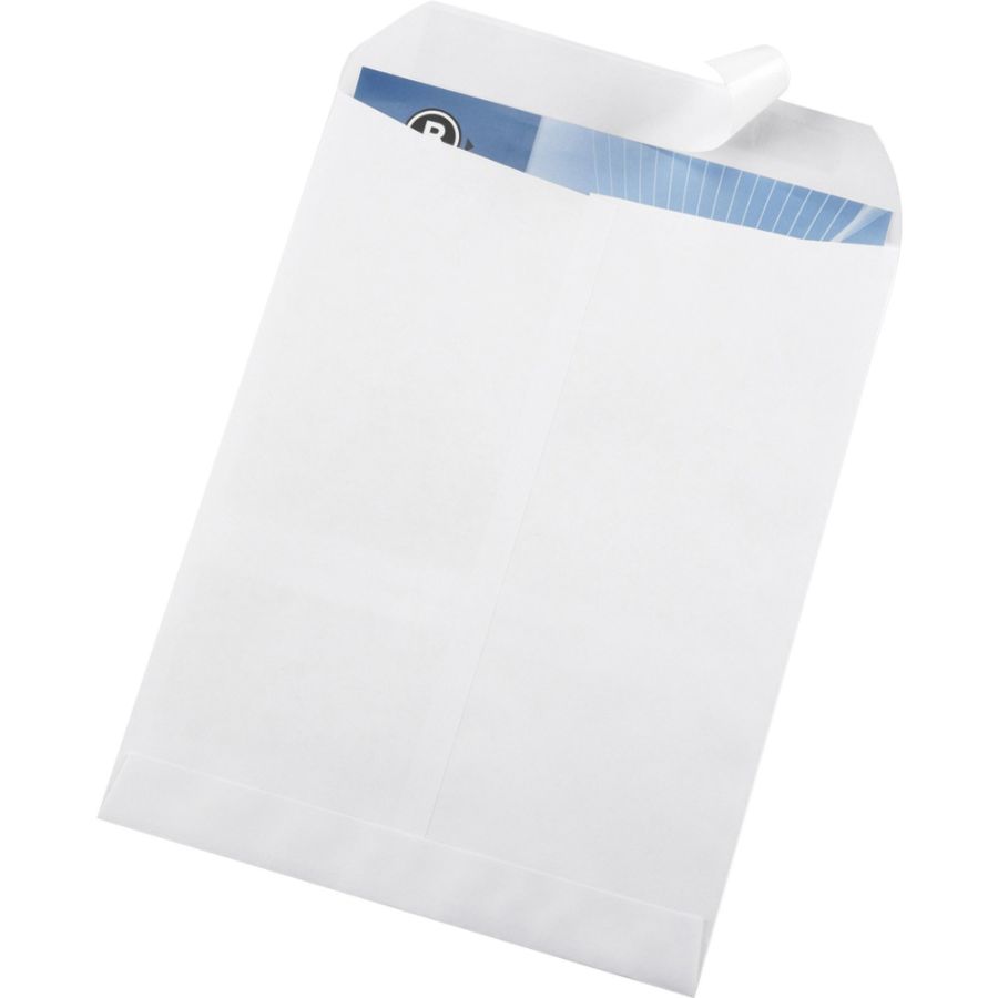 Business Source 100ct Self Sealing Catalog Envelopes