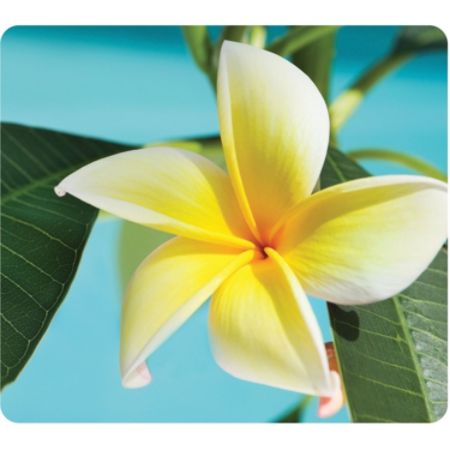 Fellowes Recycled Mouse Pad - Leaves